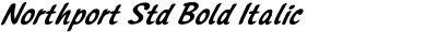 Northport Std Bold Italic